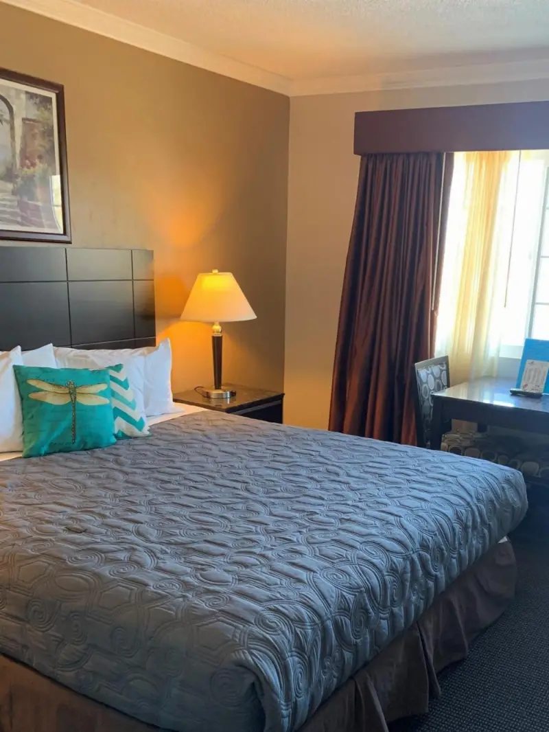 King Room with View