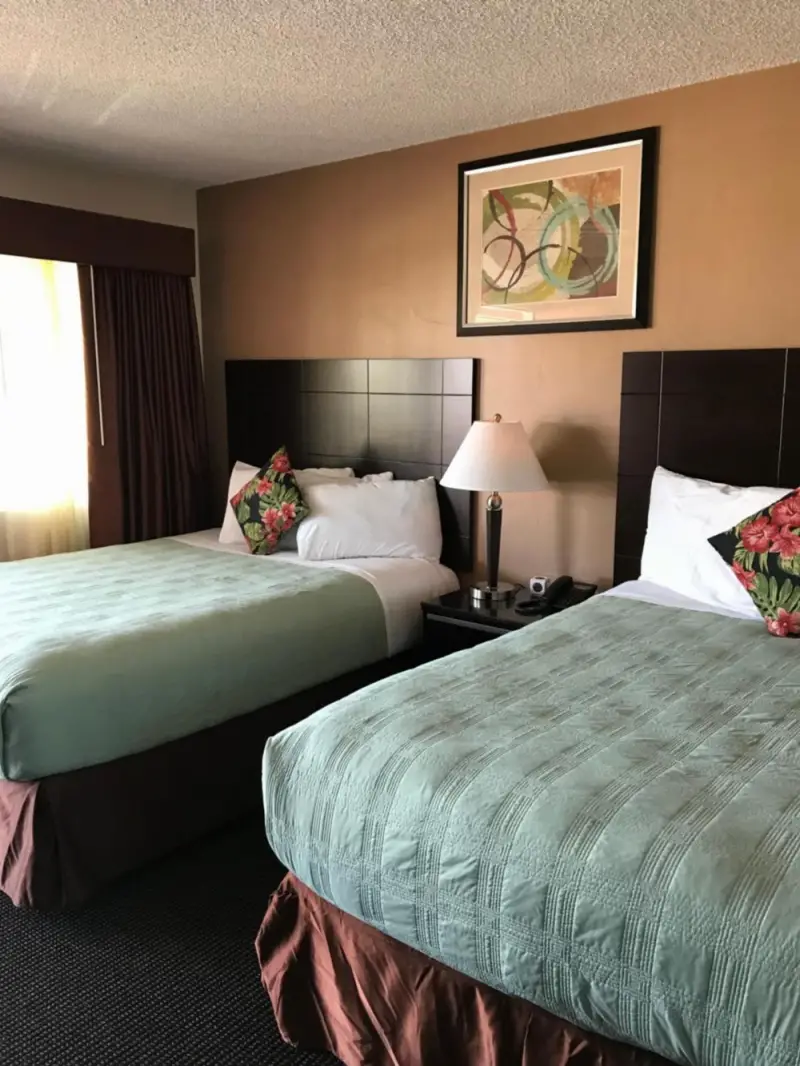 Standard Room with Two Beds