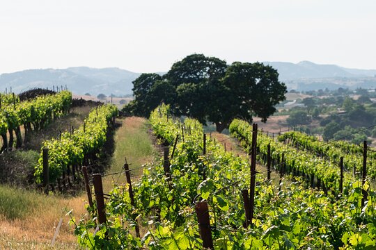 Tour image 7